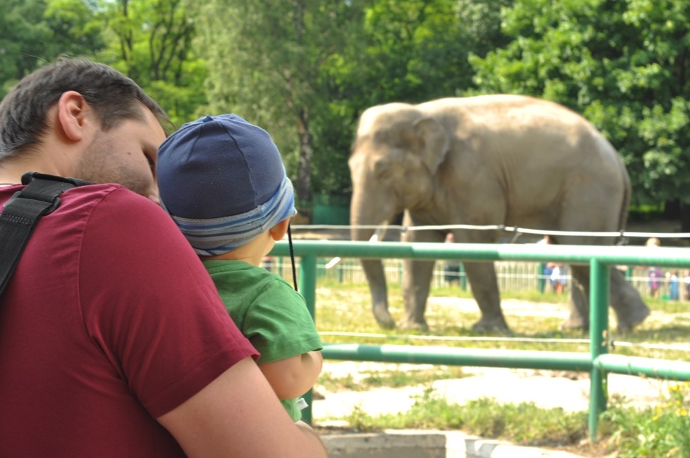 tata-zoo-slaski-ogrod1