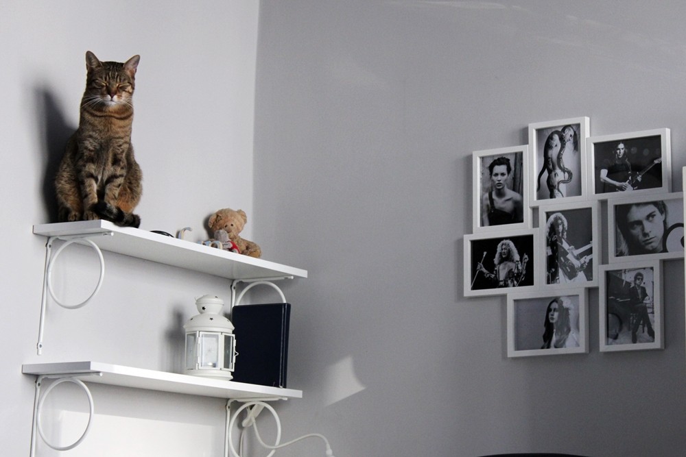 ddtcn-webrooming-tendencje zakupowe (7)