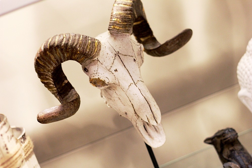 tkmaxx-wiosenne trendy (33)