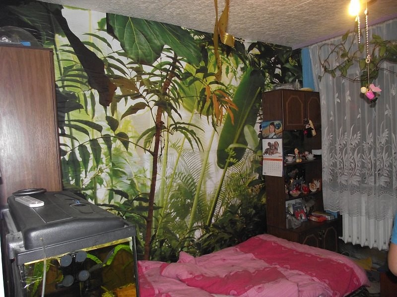 fototapeta-a-mialo-wygladac
