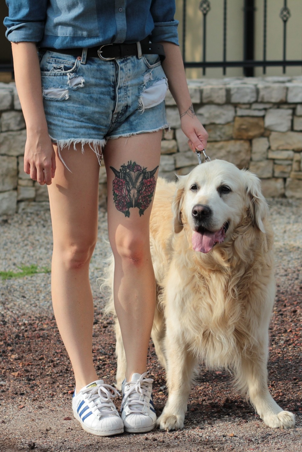 jeans shirt-denim shirt-nife koszula alore (1)