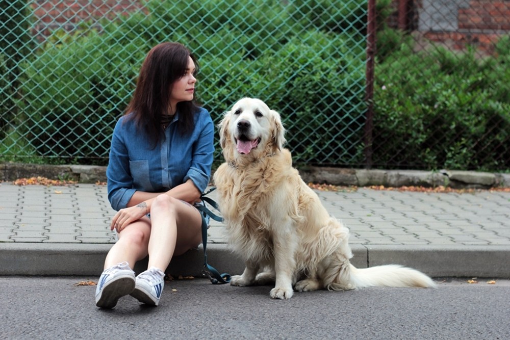 jeans shirt-denim shirt-nife koszula alore (3)